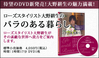 DVD �ʍ�O�u�Ɠ����^�l�̃x�����_�K�[�f�����t�����[�R���e�i�̐A�̓f�U�C������