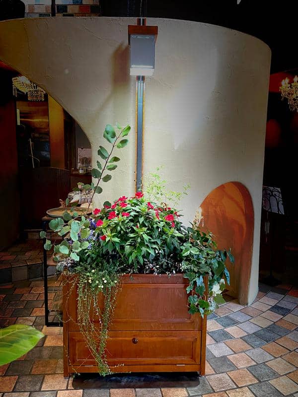 草花の実証実験
