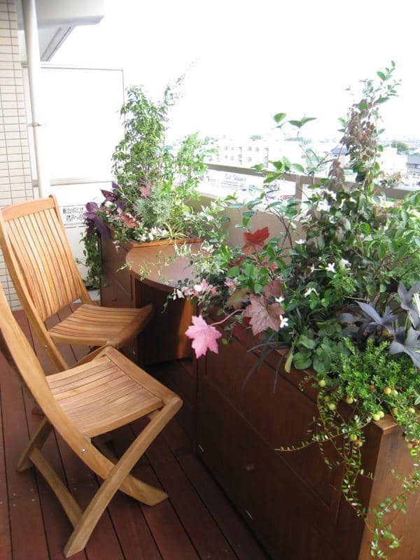 2004年 浜名湖花博に出展