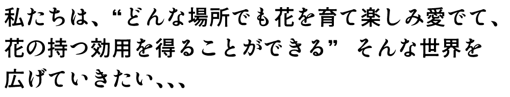 私たちは、“どんな場所でも花を育て楽しみ愛でて、花の持つ効用を得ることができる”   そんな世界を広げていきたい、、、