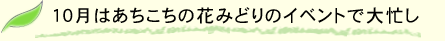 いつになったら涼しくなるのでしょうね。
