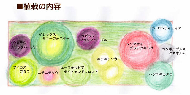 ハツユキカズラやセイロンライティアなど植栽の内容