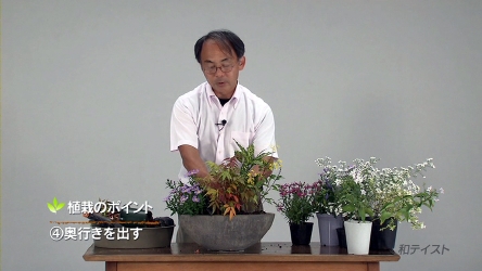 植栽のポイント:奥行きを出す