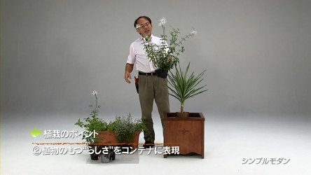 植物のもつ「らしさ」をコンテナに表現