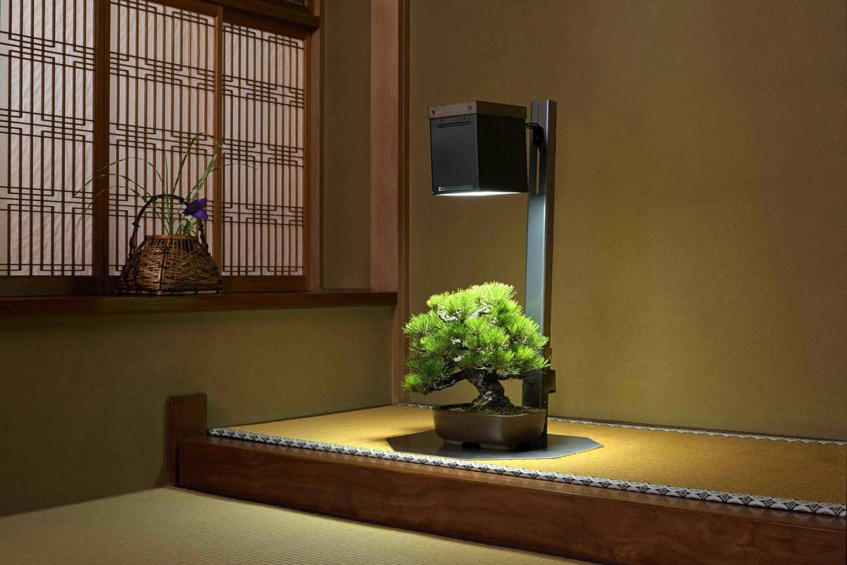 サイリウムスタンドライト 盆栽用ガーデンインテリア