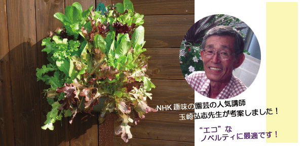 NHK趣味の園芸講師、玉崎弘志先生が考案しました。