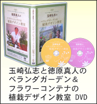 DVD ʍOuƓ^l̃x_K[ft[Rei̐A̓fUC