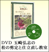 DVD　「玉崎弘志の松の剪定と仕立直し教室」