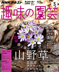 趣味の園芸テキスト17年３月号に 玉崎先生の プチロックガーデンをつくってみよう が掲載されました Bloomfield ブルームフィールド